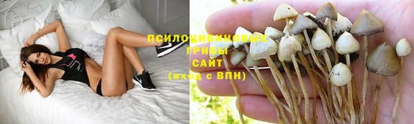 гидра Карталы