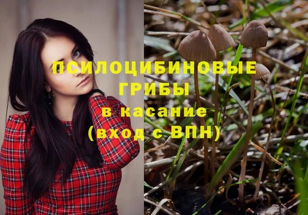 круглые Каменка