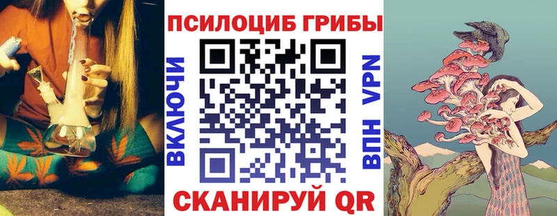 Купить закладки  Кашира  Псилоцибиновые грибы ЛСД 